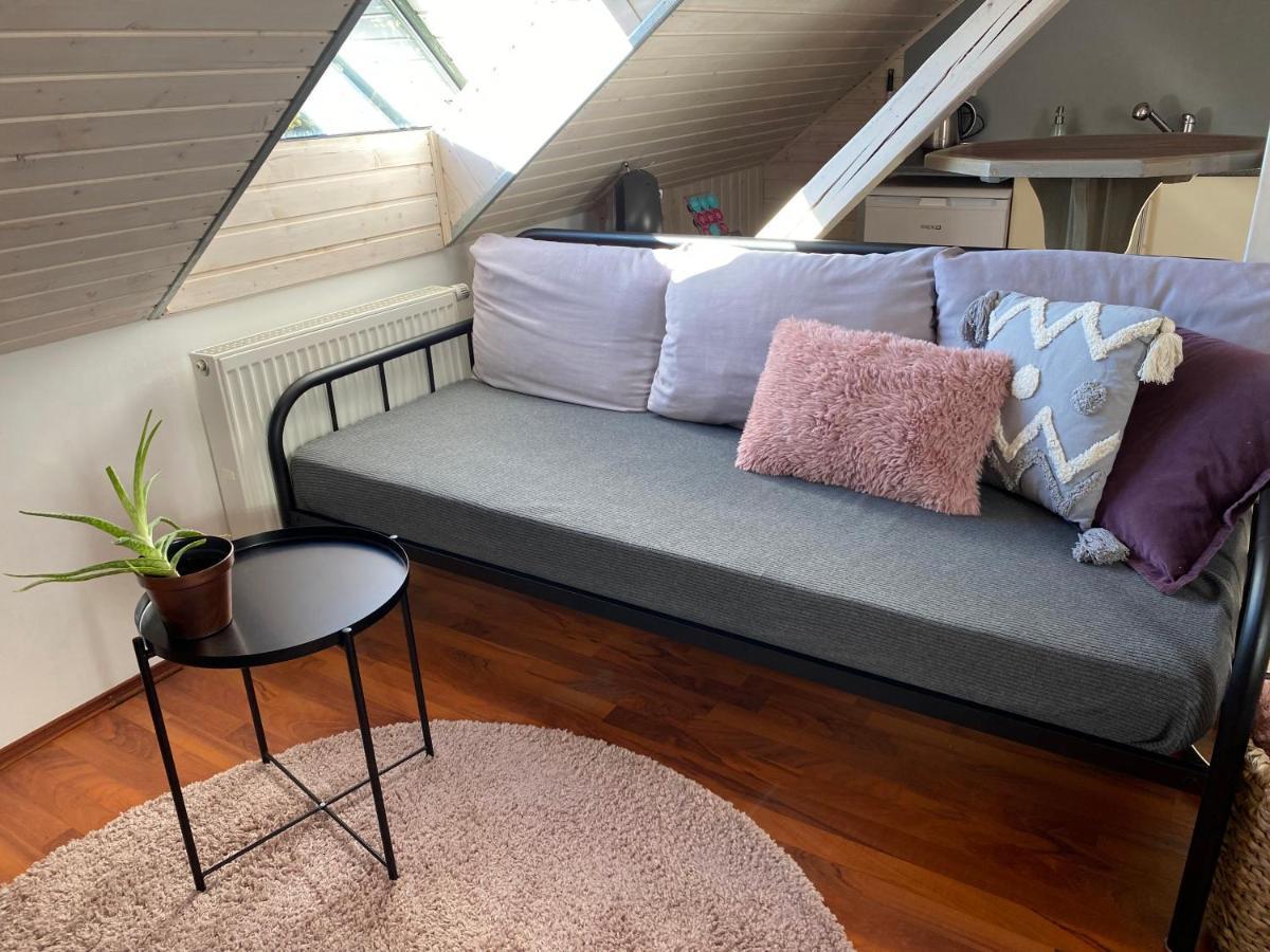 Apartmany Rudik Železná Ruda Eksteriør billede