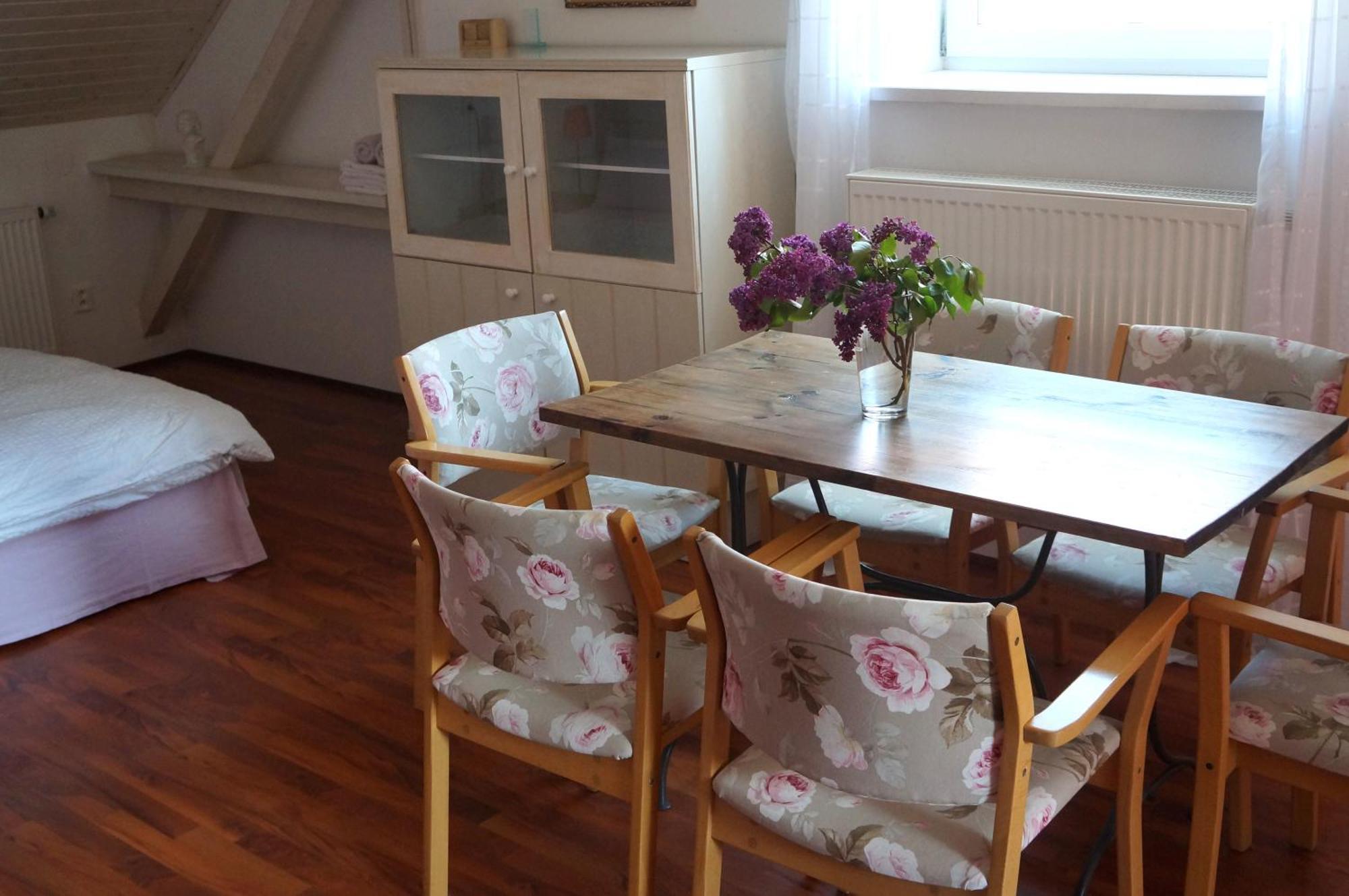 Apartmany Rudik Železná Ruda Værelse billede
